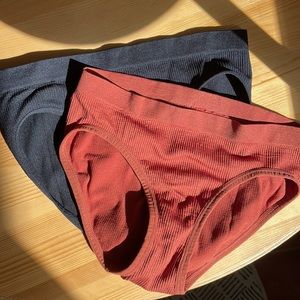 NWOT Seamless Lingerie Ultra Soft Hipster Underwear 2pack brick and black